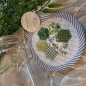 Preview: Glas Untersetzer *Mimi* AM53