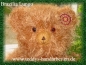 Preview: Anleitung Teddy *Red Lungo*