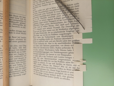 Buch: Rose - Danke